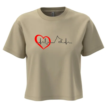 Německý ovčák ekg