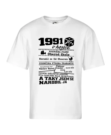 1991 v kostce