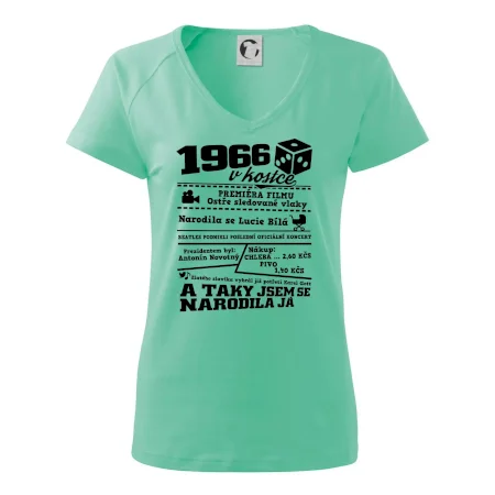 1966 v kostce