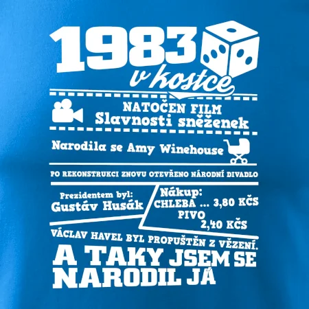 1983 v kostce