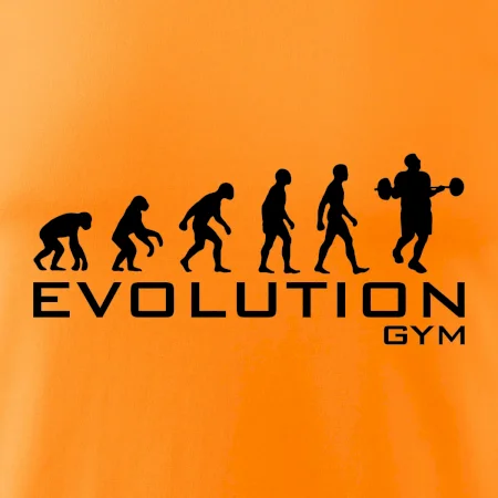 Evoluce Gym