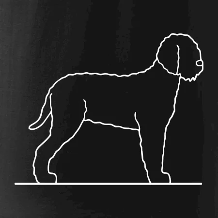 Lagotto romagnolo stojící