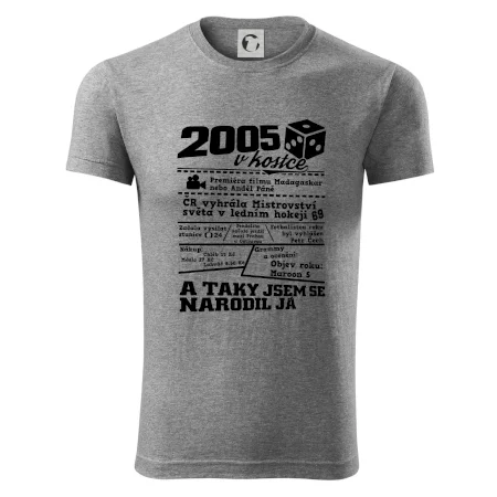 2005 v kostce