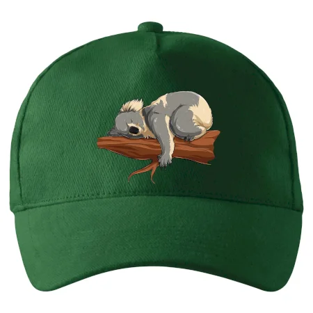 Koala na větvi