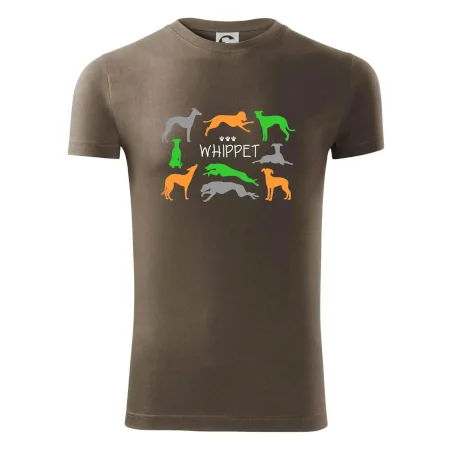 Whippet barevný