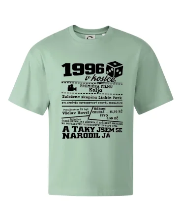 1996 v kostce