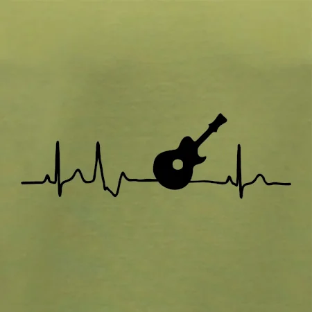 EKG akustická kytara