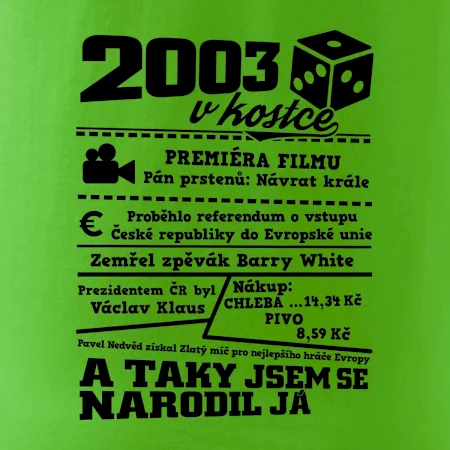 2003 v kostce