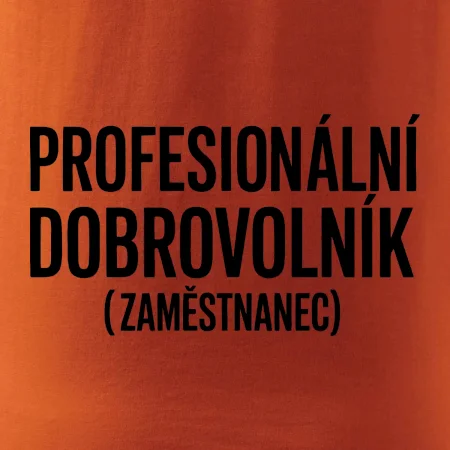 PROFESIONÁLNÍ DOBROVOLNÍK (zaměstnanec)