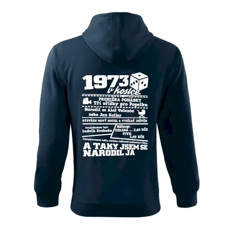 1973 v kostce