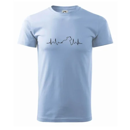 Stafordšírsky bulteriér EKG