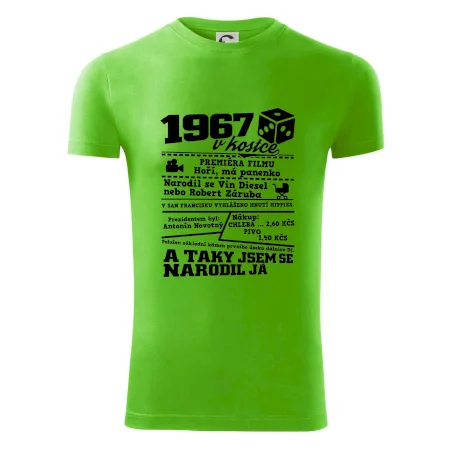 1967 v kostce