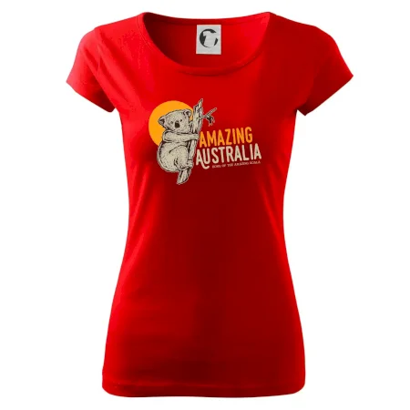 Amazing Australia koala