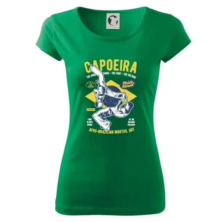 Capoeira  Afro-brazil art