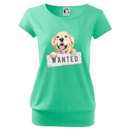 Zlatý retriever - štěně wanted