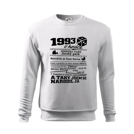 1993 v kostce