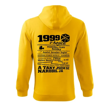 1999 v kostce