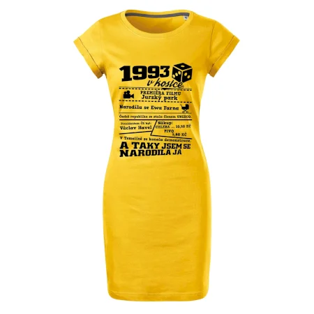 1993 v kostce