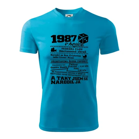 1987 v kostce