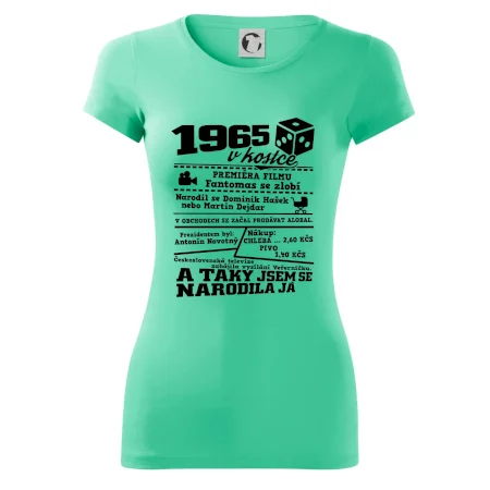 1965 v kostce