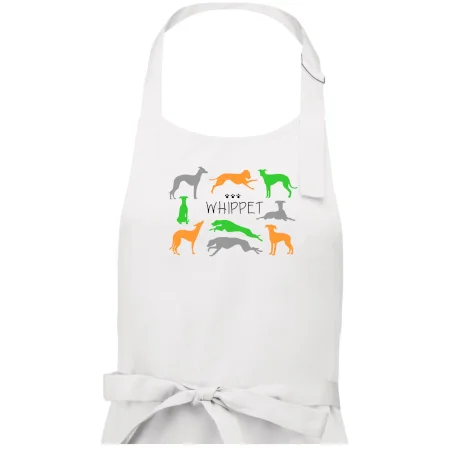 Whippet barevný