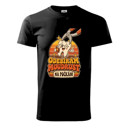 Odebírám moudrost na počkání