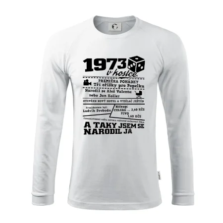 1973 v kostce