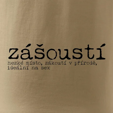 Čeština 2.0 - zášoustí