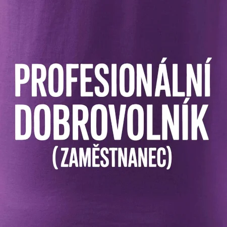 PROFESIONÁLNÍ DOBROVOLNÍK (zaměstnanec)
