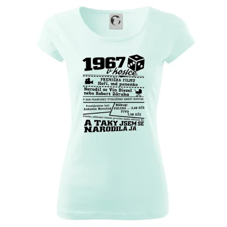 1967 v kostce