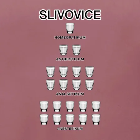 Slivovice počítání (Hana-creative)