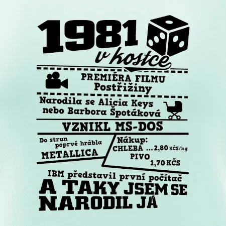 1981 v kostce