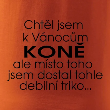Chtěl jsem dostat k Vánocům koně