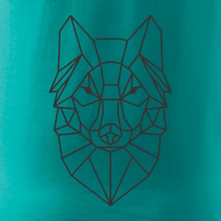 Geometrie - vlk