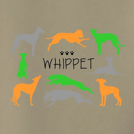 Whippet barevný