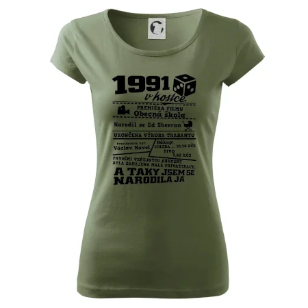 1991 v kostce