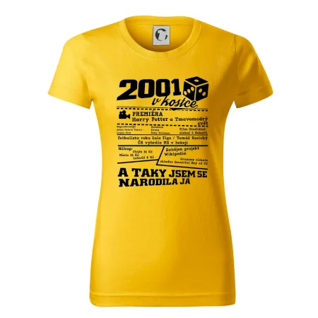 2001 v kostce
