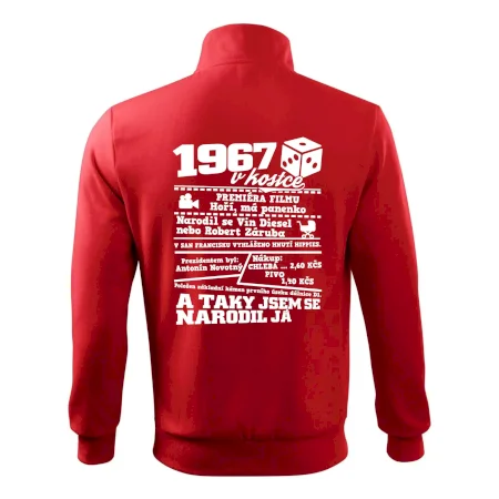 1967 v kostce