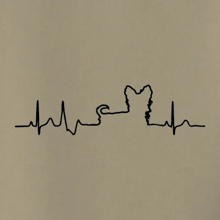 Jorkšírský teriér EKG