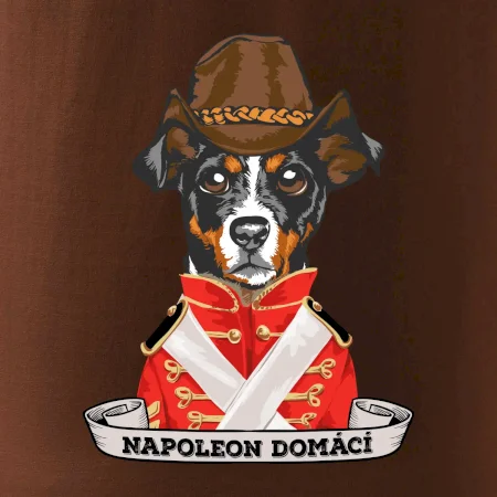 Napoleon domácí pes kříženec