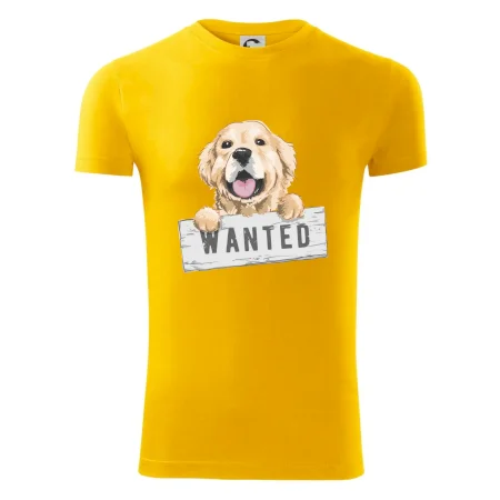 Zlatý retriever - štěně wanted