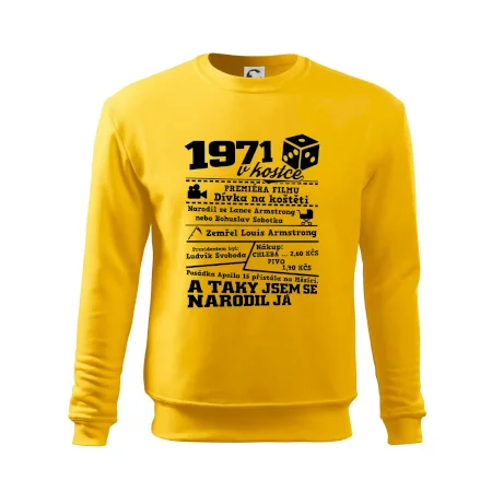 1971 v kostce
