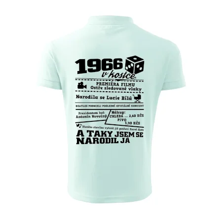 1966 v kostce