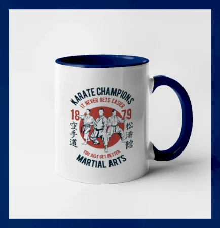 Karate Champions
