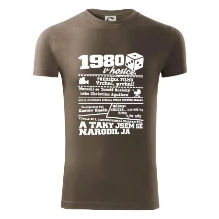 1980 v kostce