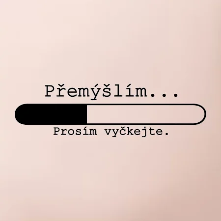 Přemýšlím
