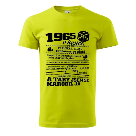 1965 v kostce