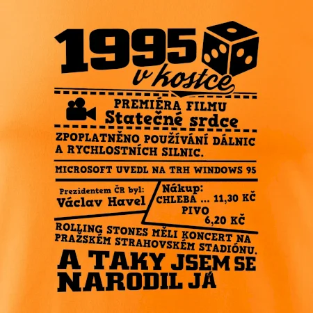 1995 v kostce