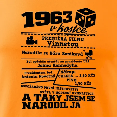 1963 v kostce