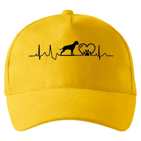 Německý boxer EKG